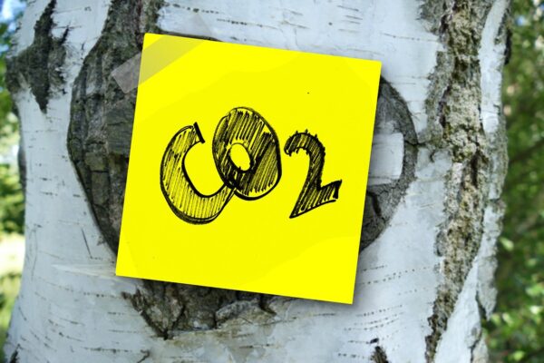 KI-Lösungen zur CO2-Reduzierung gesucht: Ausschreibung AI4Cities